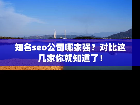 知名seo公司哪家强？对比这几家你就知道了！
