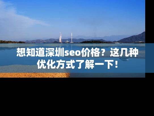 想知道深圳seo价格？这几种优化方式了解一下！