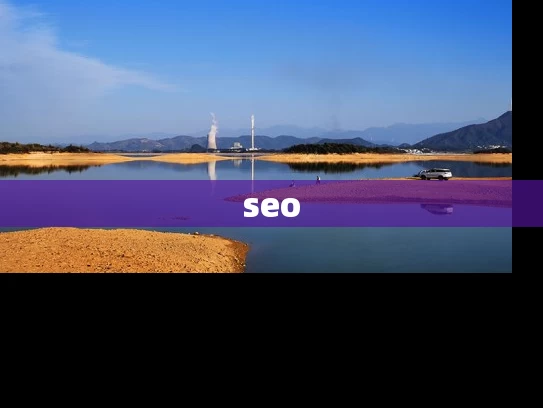 seo