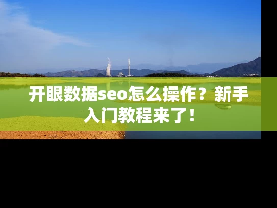 开眼数据seo怎么操作？新手入门教程来了！