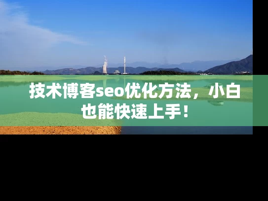 技术博客seo优化方法，小白也能快速上手！