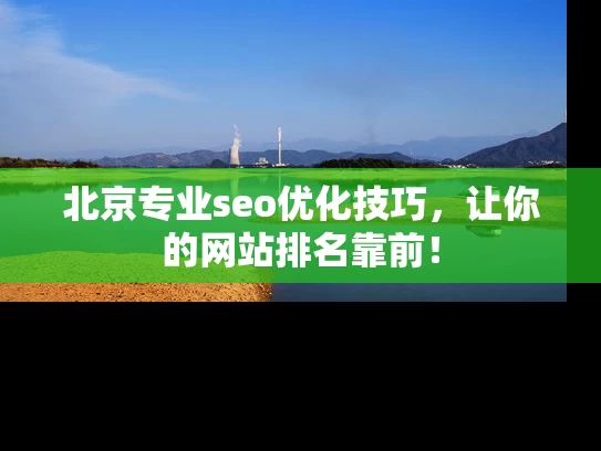 北京专业seo优化技巧，让你的网站排名靠前！