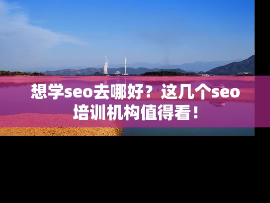 想学seo去哪好？这几个seo培训机构值得看！