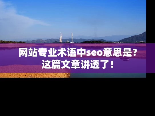 网站专业术语中seo意思是？这篇文章讲透了！