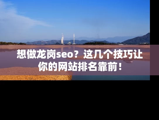 想做龙岗seo？这几个技巧让你的网站排名靠前！