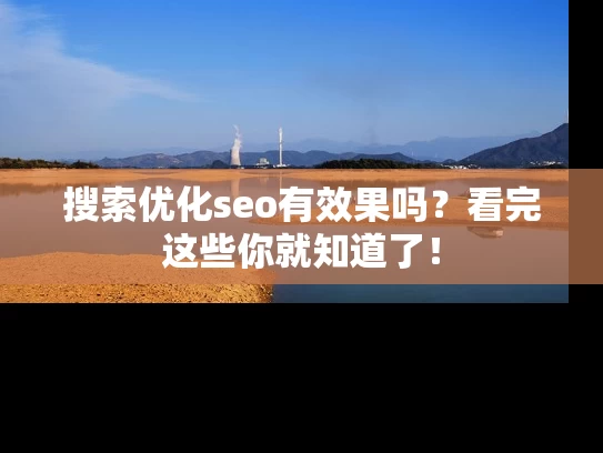 搜索优化seo有效果吗？看完这些你就知道了！