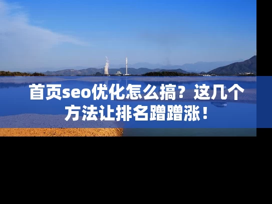 首页seo优化怎么搞？这几个方法让排名蹭蹭涨！