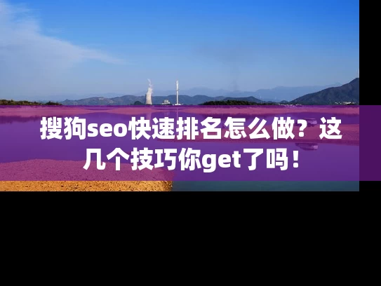 搜狗seo快速排名怎么做？这几个技巧你get了吗！