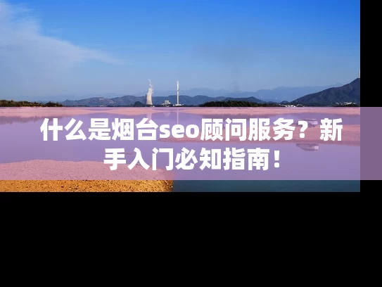 什么是烟台seo顾问服务？新手入门必知指南！