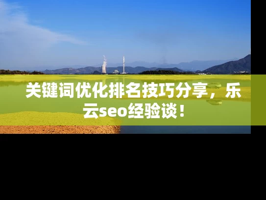 关键词优化排名技巧分享，乐云seo经验谈！