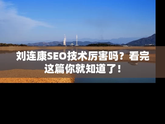 刘连康SEO技术厉害吗？看完这篇你就知道了！