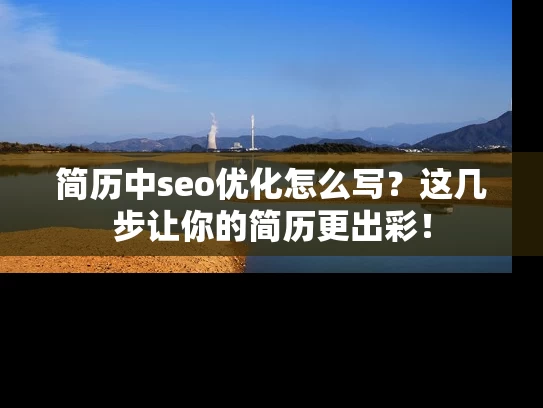 简历中seo优化怎么写？这几步让你的简历更出彩！
