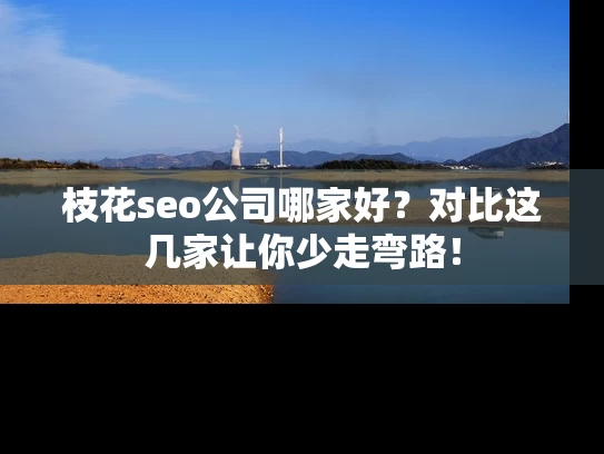 枝花seo公司哪家好？对比这几家让你少走弯路！