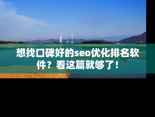 想找口碑好的seo优化排名软件？看这篇就够了！