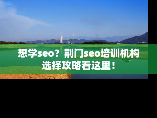 想学seo？荆门seo培训机构选择攻略看这里！