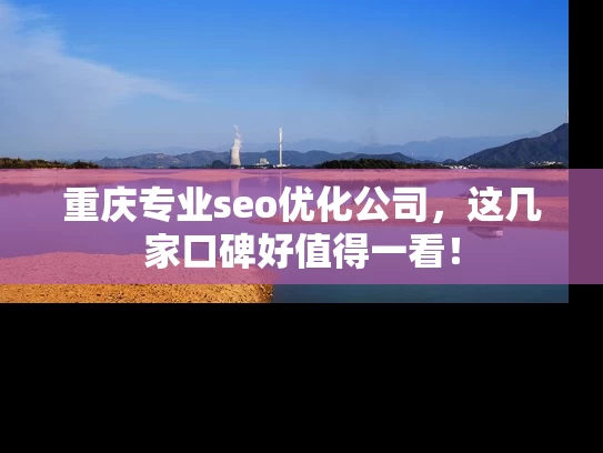 重庆专业seo优化公司，这几家口碑好值得一看！