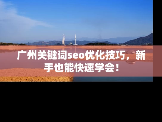 广州关键词seo优化技巧，新手也能快速学会！