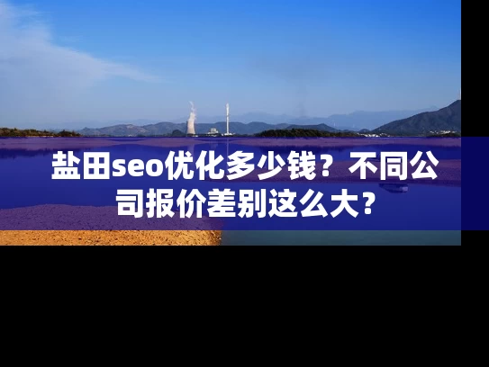 盐田seo优化多少钱？不同公司报价差别这么大？