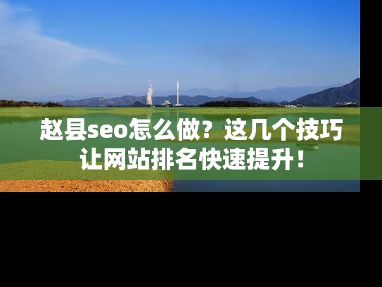 赵县seo怎么做？这几个技巧让网站排名快速提升！