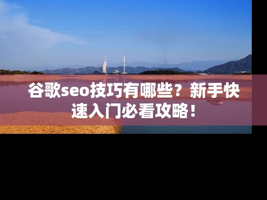 谷歌seo技巧有哪些？新手快速入门必看攻略！