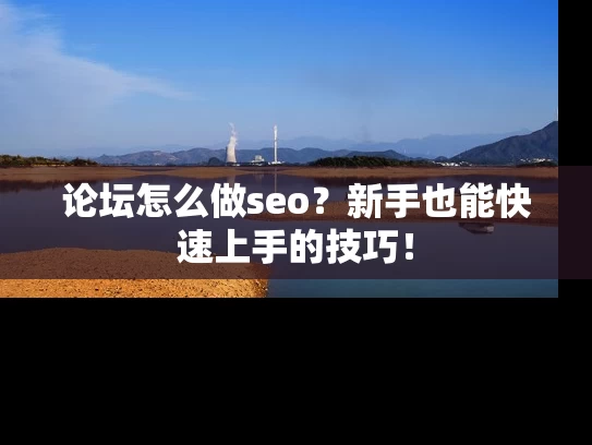 论坛怎么做seo？新手也能快速上手的技巧！