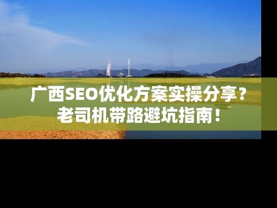 广西SEO优化方案实操分享？老司机带路避坑指南！