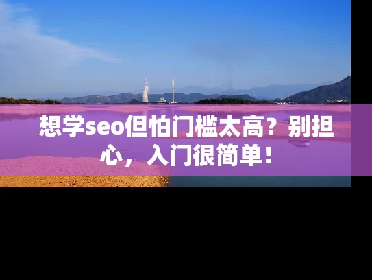 想学seo但怕门槛太高？别担心，入门很简单！