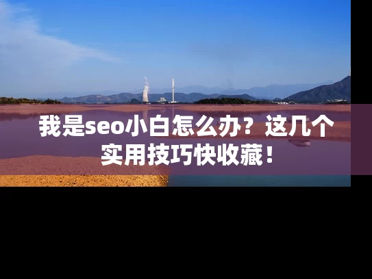 我是seo小白怎么办？这几个实用技巧快收藏！