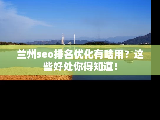 兰州seo排名优化有啥用？这些好处你得知道！