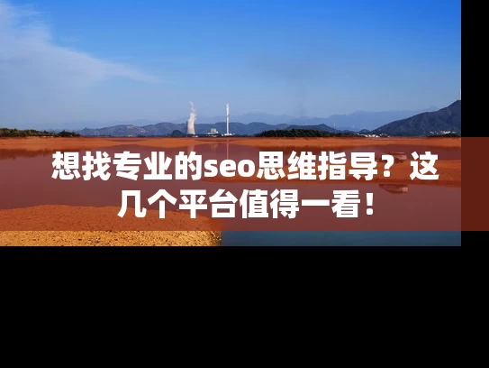想找专业的seo思维指导？这几个平台值得一看！