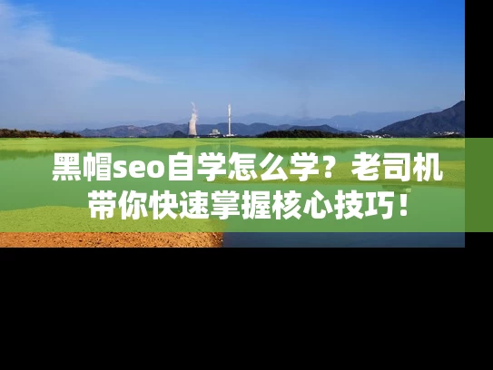 黑帽seo自学怎么学？老司机带你快速掌握核心技巧！