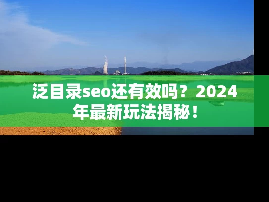 泛目录seo还有效吗？2024年最新玩法揭秘！