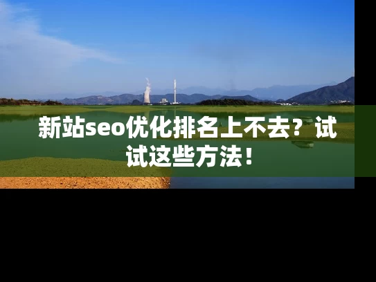 新站seo优化排名上不去？试试这些方法！
