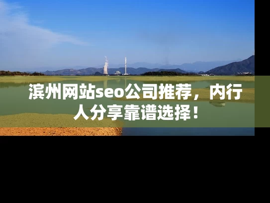 滨州网站seo公司推荐，内行人分享靠谱选择！
