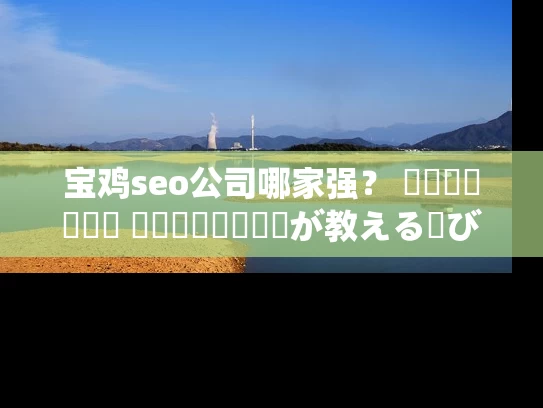 宝鸡seo公司哪家强？ স্থানীয় विशेषज्ञが教える選び方！