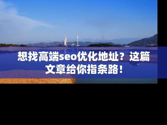 想找高端seo优化地址？这篇文章给你指条路！