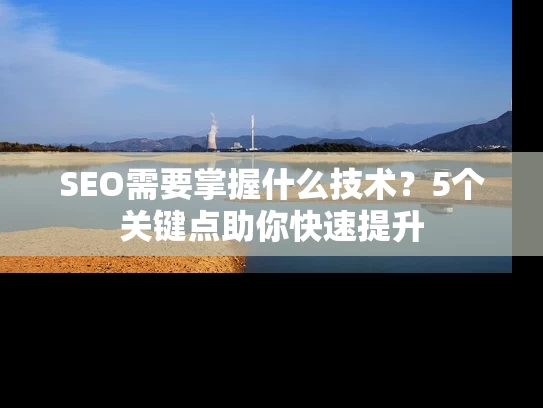 SEO需要掌握什么技术？5个关键点助你快速提升
