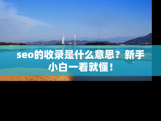 seo的收录是什么意思？新手小白一看就懂！