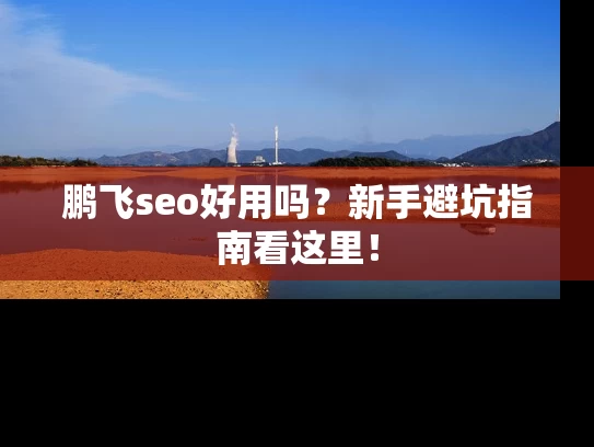 鹏飞seo好用吗？新手避坑指南看这里！