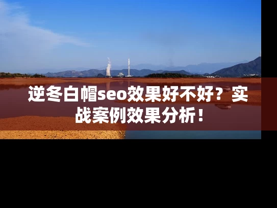 逆冬白帽seo效果好不好？实战案例效果分析！