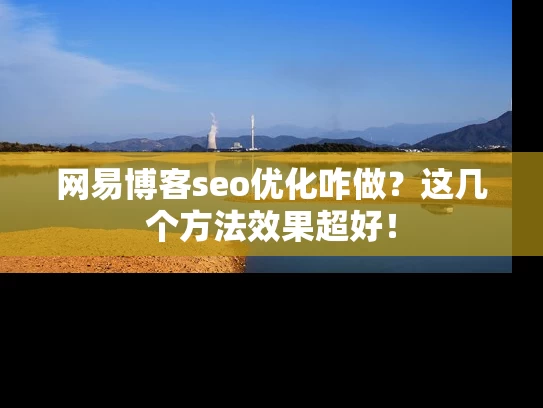 网易博客seo优化咋做？这几个方法效果超好！