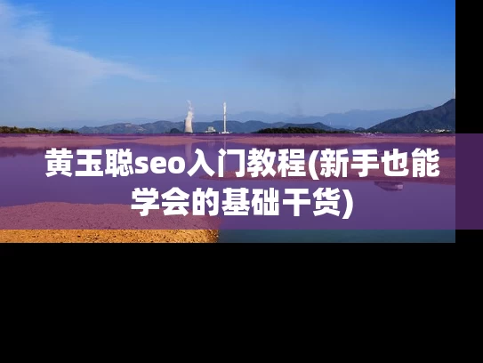黄玉聪seo入门教程(新手也能学会的基础干货)