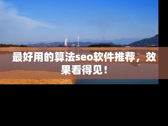最好用的算法seo软件推荐，效果看得见！