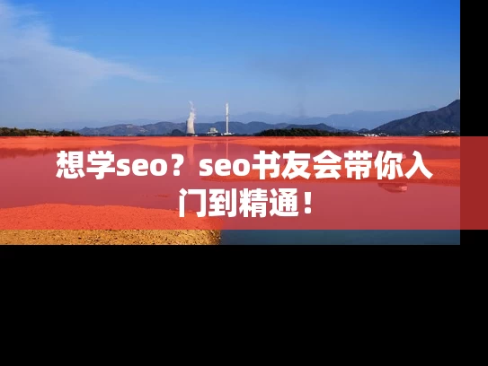 想学seo？seo书友会带你入门到精通！