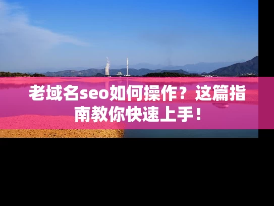 老域名seo如何操作？这篇指南教你快速上手！