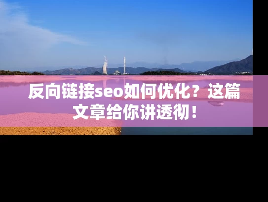 反向链接seo如何优化？这篇文章给你讲透彻！