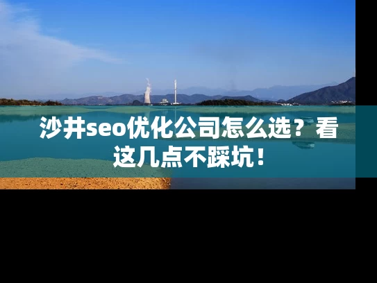 沙井seo优化公司怎么选？看这几点不踩坑！