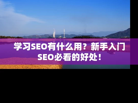 学习SEO有什么用？新手入门SEO必看的好处！