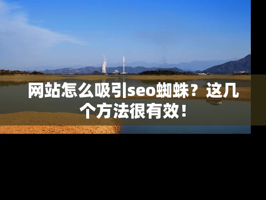 网站怎么吸引seo蜘蛛？这几个方法很有效！