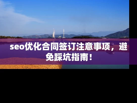 seo优化合同签订注意事项，避免踩坑指南！